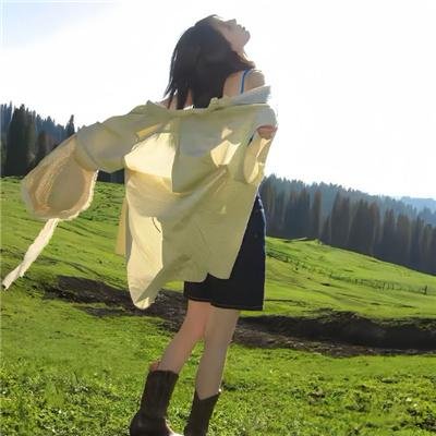 陆小凤之决战前后